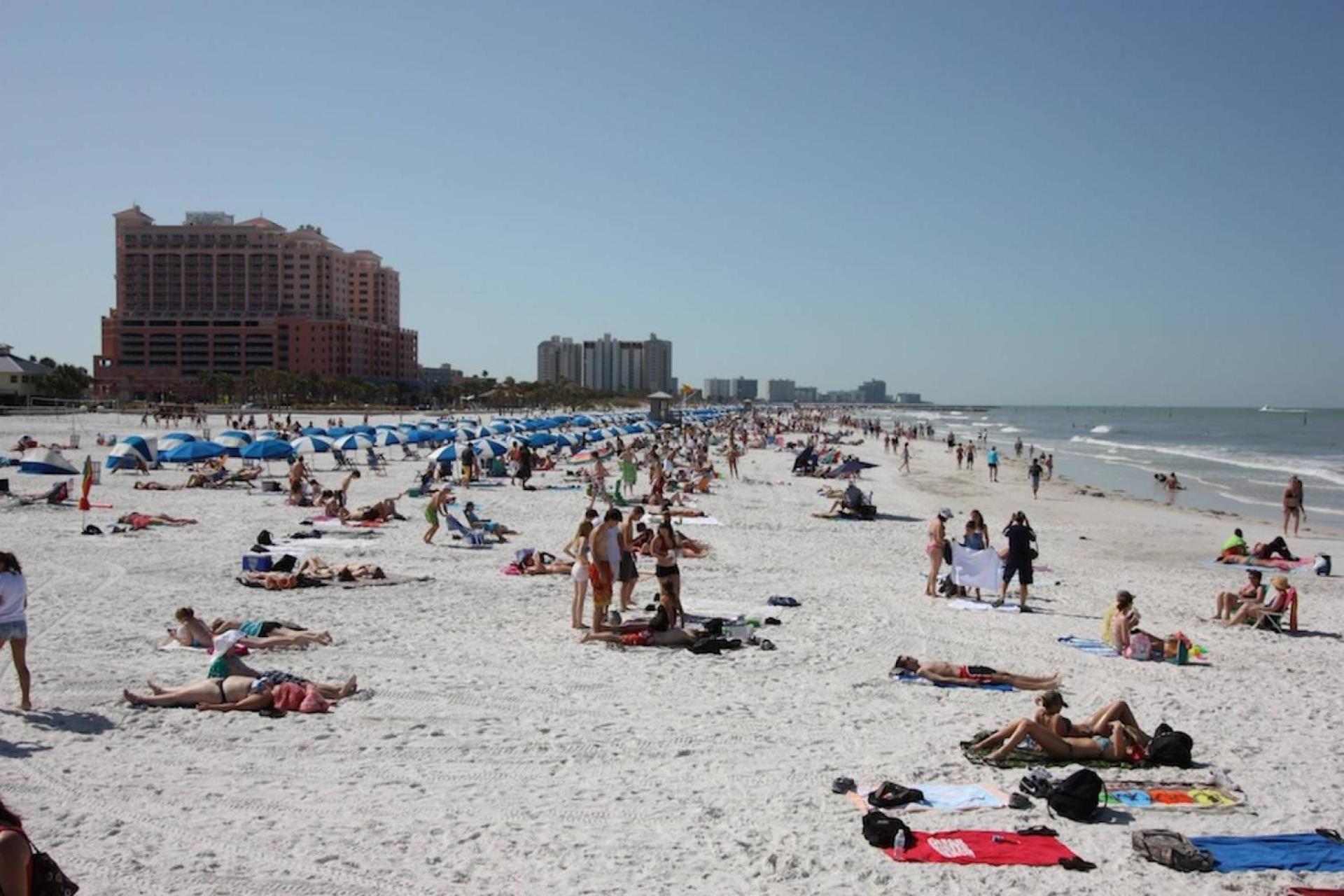 201 Belleair Beach Club Clearwater Beach Exterior photo